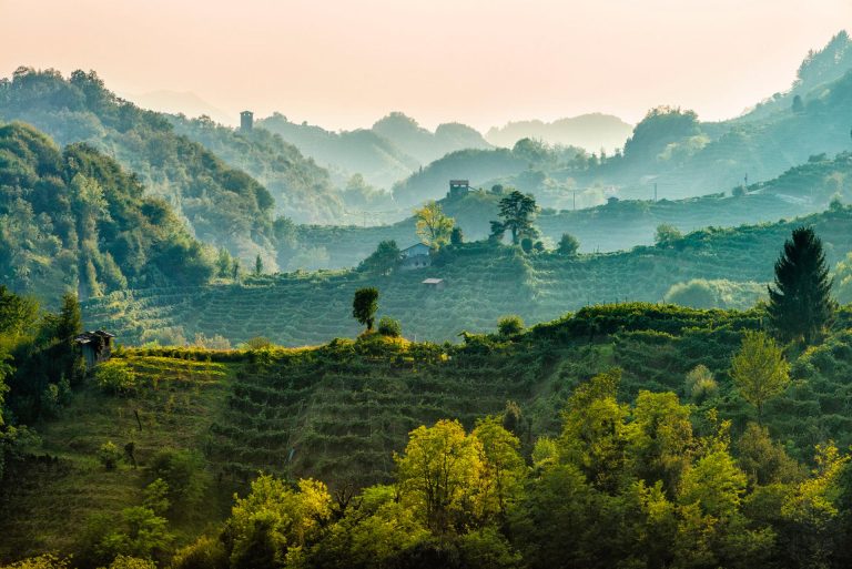Colline UNESCO